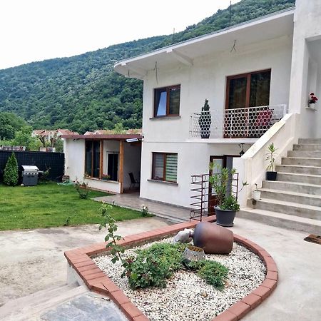ホテル Renate House Băile Herculane エクステリア 写真