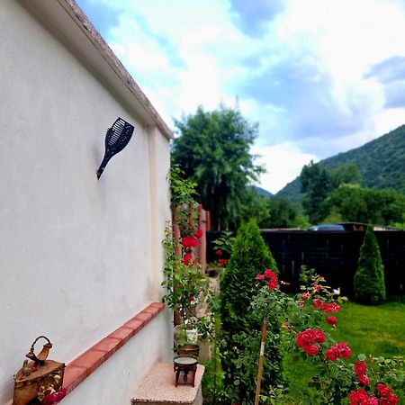 ホテル Renate House Băile Herculane エクステリア 写真