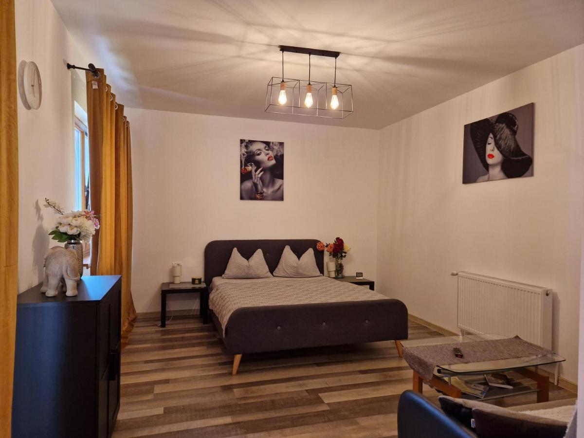 ホテル Renate House Băile Herculane エクステリア 写真