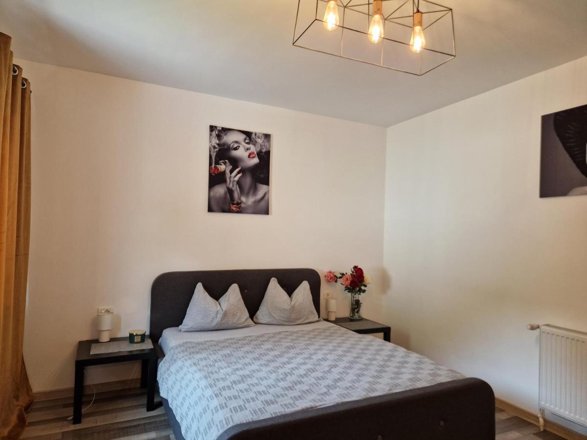 ホテル Renate House Băile Herculane エクステリア 写真