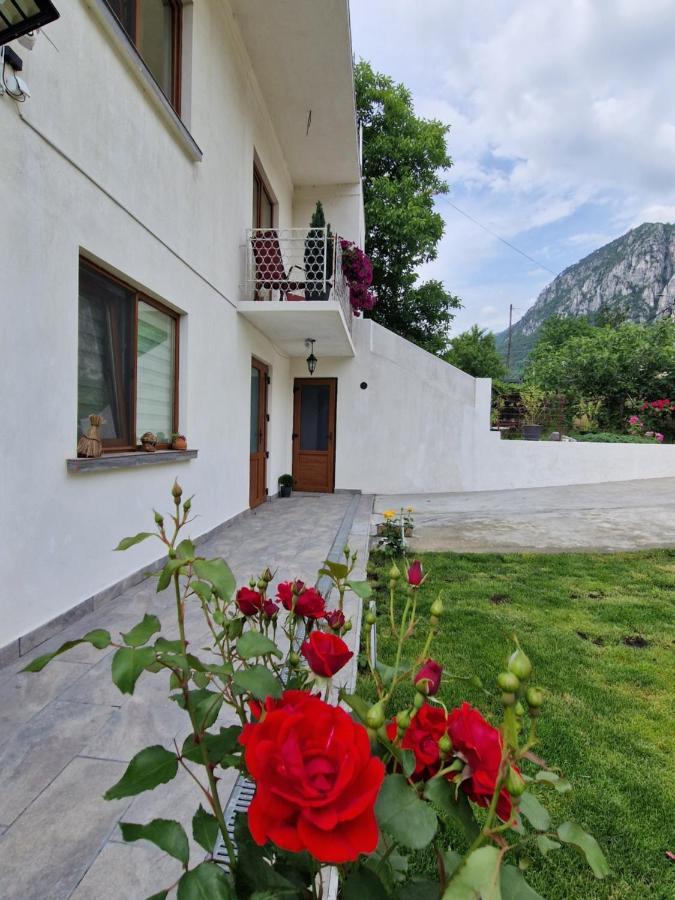 ホテル Renate House Băile Herculane エクステリア 写真