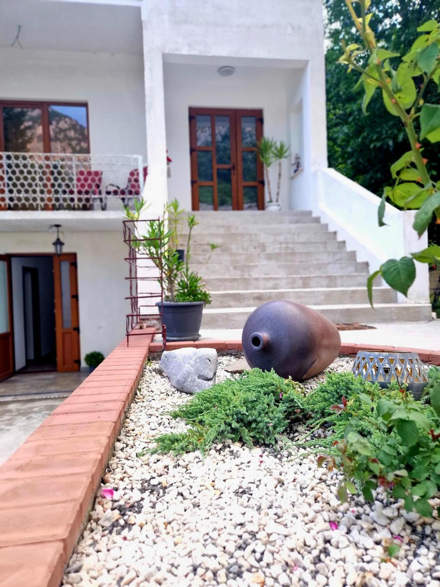 ホテル Renate House Băile Herculane エクステリア 写真